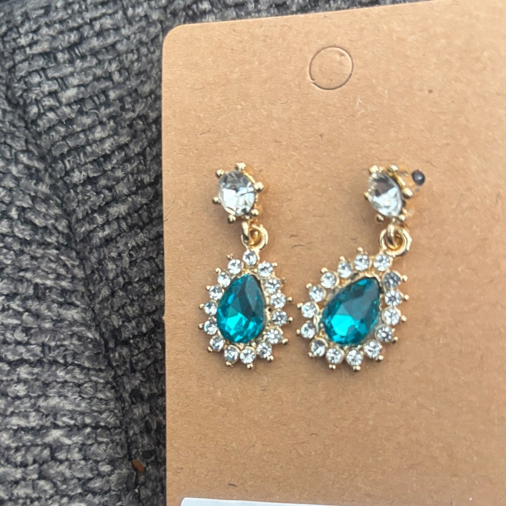 NWT-teardrop earrings